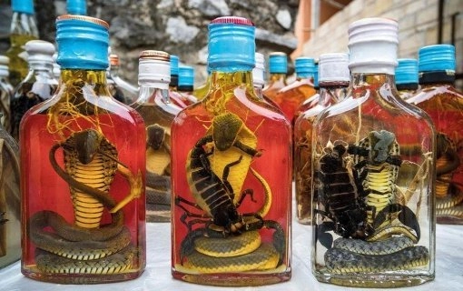 V&yacute;voz had&iacute;ho v&iacute;na (Kořalky) z Vietnamu do Evropy