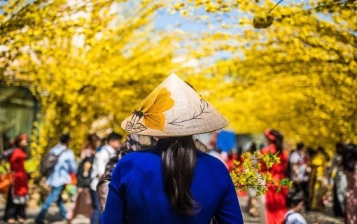 Vietnam Lunar New Year TET