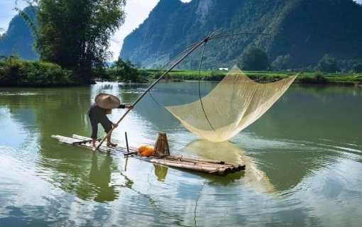 C&aacute;i Răng Floating Market