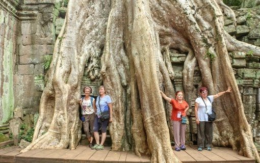 Traveling to Vietnam in a group
