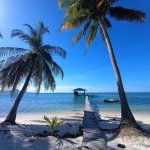 V&aacute;noce a Silvestr ve Vietnamu