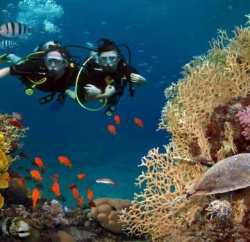 Pot&aacute;pěn&iacute; a Pozn&aacute;v&aacute;n&iacute; Vietnamu