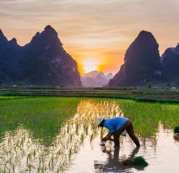 SECRET OF VIET NAM