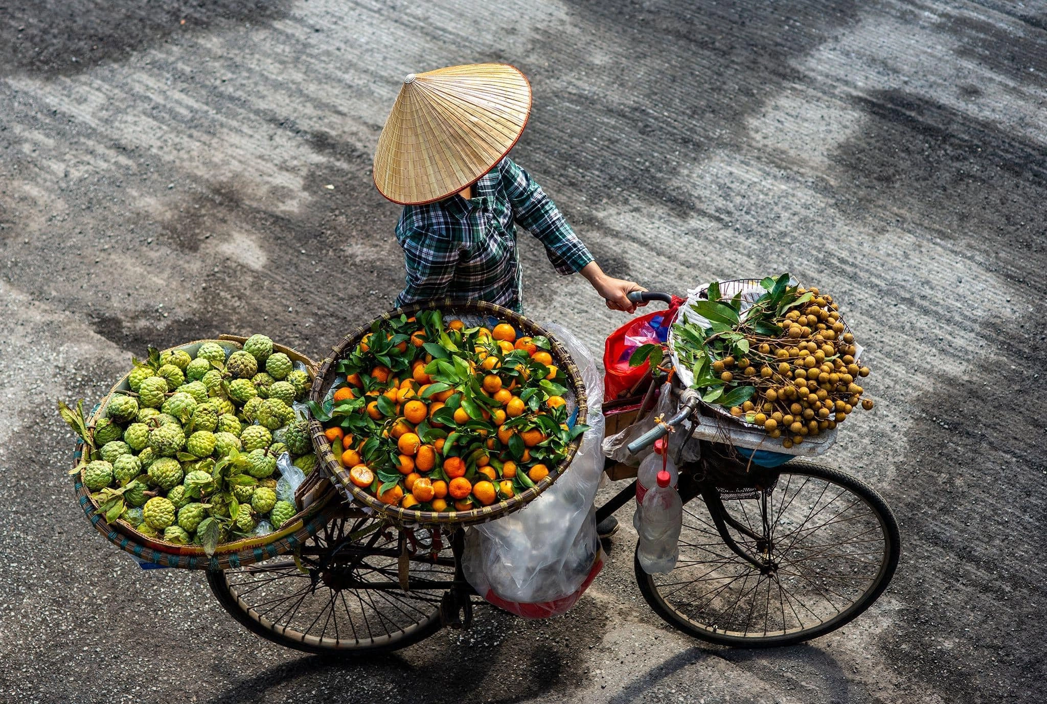 Ha Noi