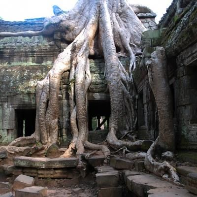 Angkor Wat 425690 640